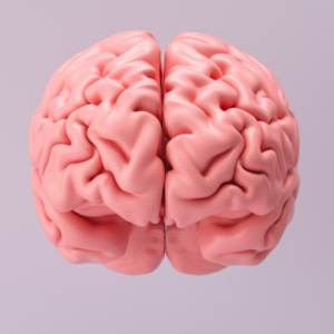 Biology Models & Equipment